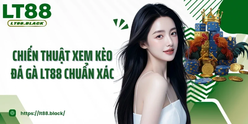 Chiến Thuật Xem Kèo Đá Gà LT88 Chuẩn Xác Tăng Cơ Hội Thắng