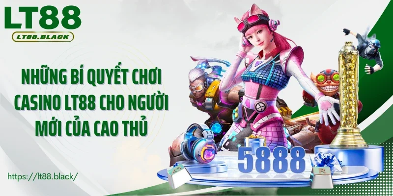 Những bí quyết chơi casino LT88 cho người mới của cao thủ