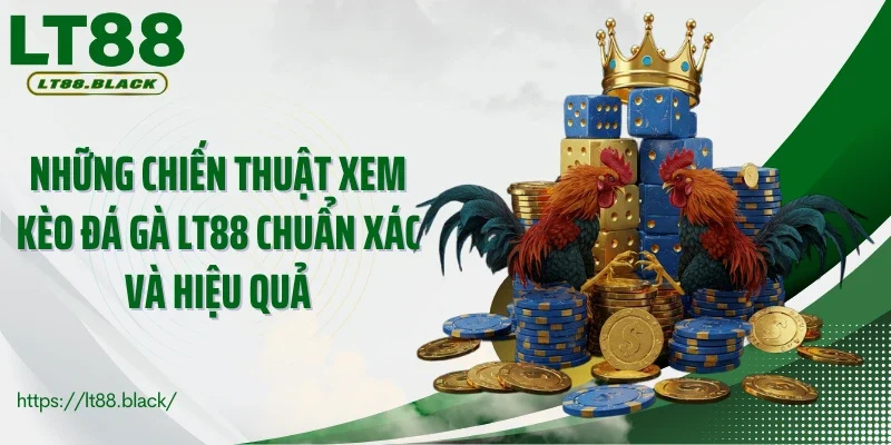 Những chiến thuật xem kèo đá gà LT88 chuẩn xác và hiệu quả