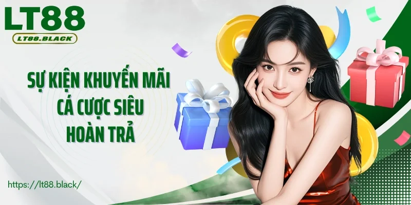 Sự kiện khuyến mãi cá cược siêu hoàn trả mỗi ngày tại LT88