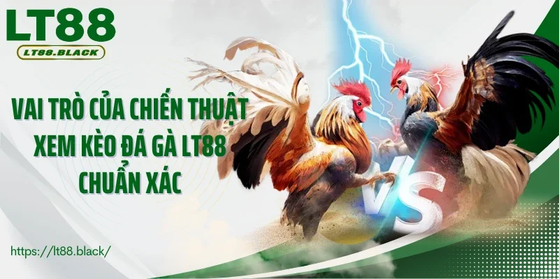 Vai trò của chiến thuật xem kèo đá gà LT88 chuẩn xác