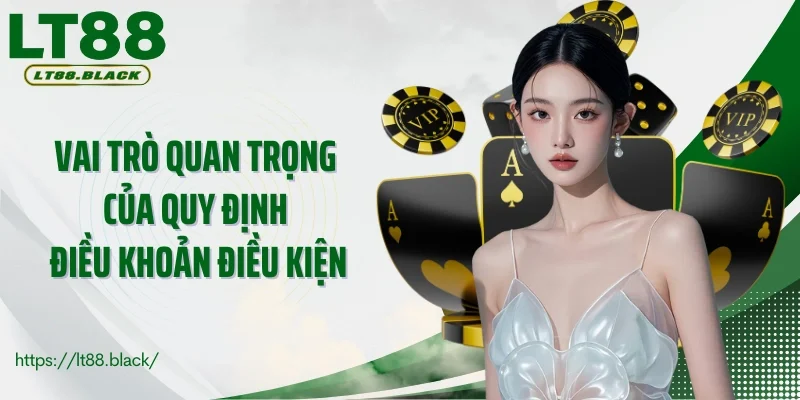 Vai trò quan trọng của các quy định điều khoản và điều kiện